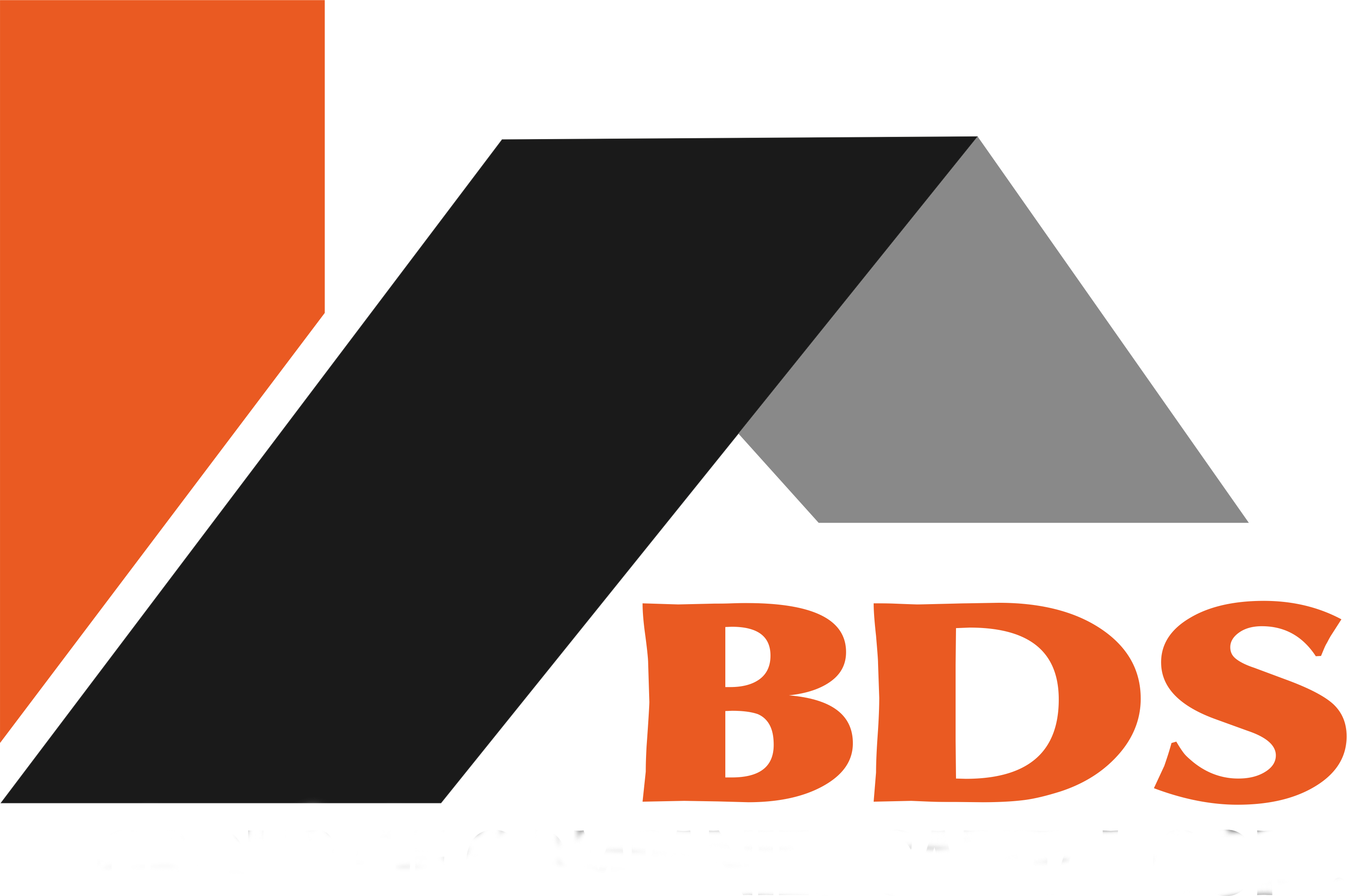  BDS group of Companies